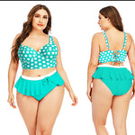 Female Plus Size Beach 2pec Swimsuit